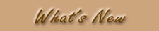 Find out what's NEW at the one and only Foot Fetish Site...Updated Daily!